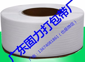 固力打包帶廠 以知識產權服務賦能企業創新與市場競爭力